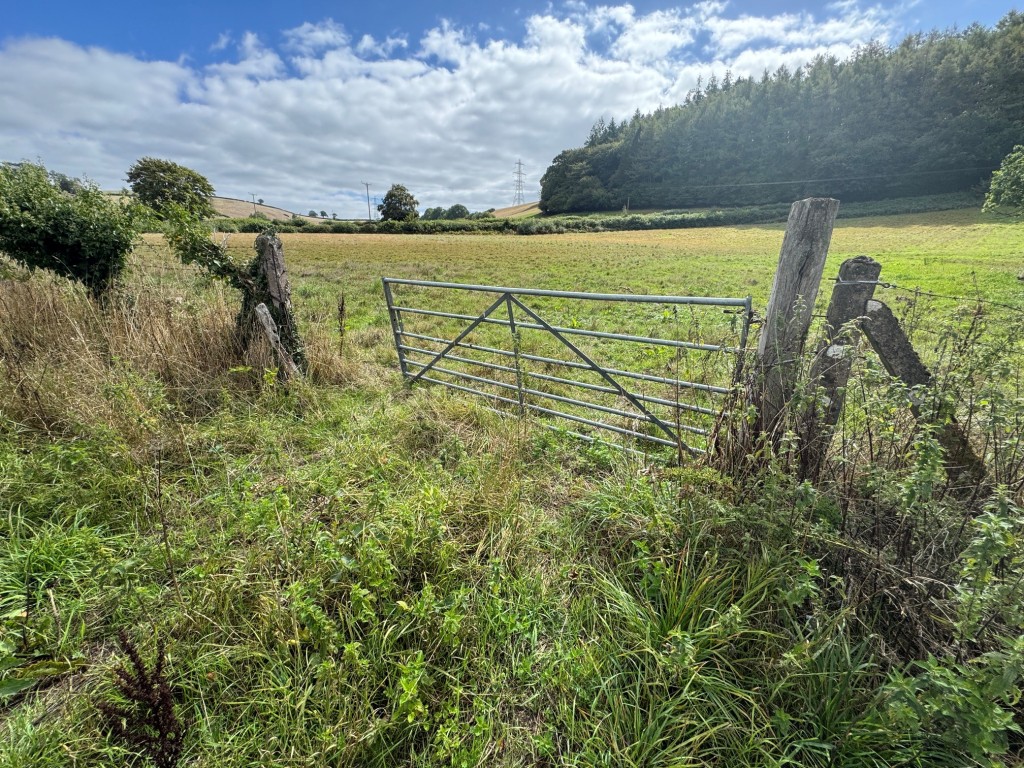 Lot: 44 - OVER THREE ACRES PADDOCK LAND WITH FRONTAGE - Gate to paddock